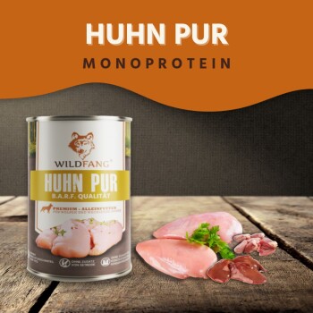 Dose Wildfang Huhn Pur Monoprotein-Hundefutter auf einem Holztisch mit rohen Hühnerstücken und Petersilie.