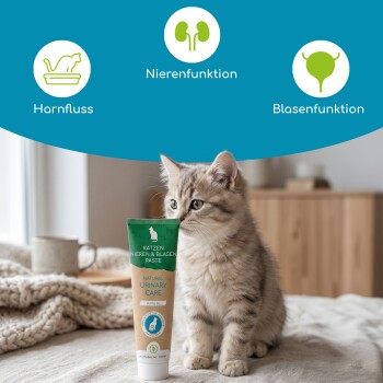 Grau-getigertes Kätzchen neben einer Tube mit der Aufschrift 'Katzen Nieren & Blasen Paste – Natural Urinary Care'.