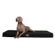 Ein grauer Weimaraner-Hund mit rotem Halsband liegt auf einem schwarzen Hundebett und schaut aufmerksam zur Seite.