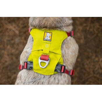 Eine Nahaufnahme eines Hundes, der ein leuchtend gelbes Ruffwear-Geschirr mit roten Riemen trägt, das das Markenlogo und den Metallbefestigungspunkt zeigt.