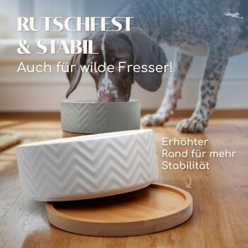 Ein Hund frisst aus einer rutschfesten Schüssel mit Zickzack-Muster auf Holz, mit dem Text "Rutschfest & Stabil" und "Erhöhter Rand für mehr Stabilität."