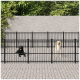 Zwei Hunde, ein schwarzer Labrador und ein goldenes Retrievers, stehen in getrennten eingezäunten Bereichen auf einer gepflasterten Fläche, umgeben von Grün.