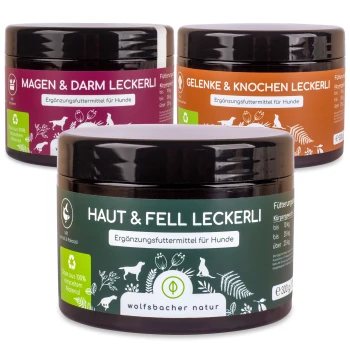 Drei Gläser mit Hundesupplementen, beschriftet mit "Magen & Darm Leckerli," "Gelenke & Knochen Leckerli," und "Haut & Fell Leckerli," mit Nährwertdetails.