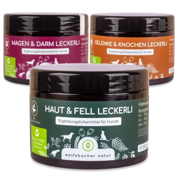 Drei Gläser mit Hundesupplementen, beschriftet mit "Magen & Darm Leckerli," "Gelenke & Knochen Leckerli," und "Haut & Fell Leckerli," mit Nährwertdetails.
