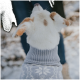 Ein weißer Hund mit braunen Flecken trägt einen gemütlichen grauen Pullover mit Schneeflockenmuster und steht in einer verschneiten Umgebung.