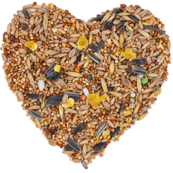 Eine herzförmige Anordnung verschiedener Vogelsamen, einschließlich Sonnenblumensamen, Hirse und kleinen bunten Stücken, auf einem weißen Hintergrund.