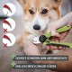 Eine Person verwendet grüne Haustier-Nagelschneider an der Pfote eines Corgis. Text: "Sicheres Schneiden dank Abstandsschutz" und "Krallen einfach zuhause kürzen."