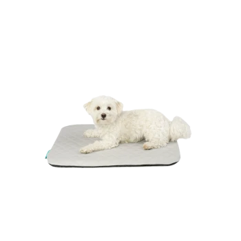 Kleiner weißer flauschiger Hund liegt auf einer grauen, gesteppten Haustiermatte mit kleinem türkisfarbenen Etikett, freigestellt vor weißem Hintergrund.