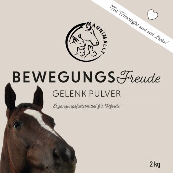 Bewegungsfreude - Nachfüllpackung