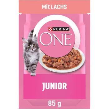 Purina ONE Junior Katzenfutter mit Lachs, mit einem grauen Kätzchen und einer Schüssel mit Nassfutter, 85 g Packung.