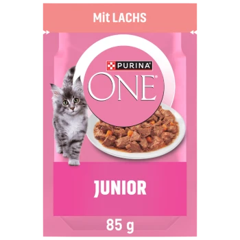 Purina ONE Junior Katzenfutter mit Lachs, mit einem grauen Kätzchen und einer Schüssel mit Nassfutter, 85 g Packung.
