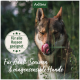 Eine Nahaufnahme eines Hundes, der sich die Lippen im Gras leckt, mit Text: "Für alle Rassen geeignet" und "Für Adult, Senioren & magensensible Hunde."