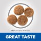 Science Plan Perfect Weight Adult Medium Chicken 12 kg