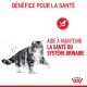 Image d'un chat en bonne santé marchant, avec du texte indiquant "Aide à maintenir la santé du système urinaire" et "Bénéfice pour la santé."