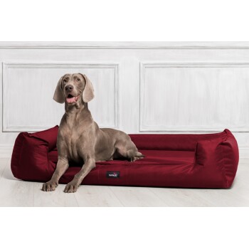 Ein grauer Hund, der auf einem plüschigen burgunderfarbenen Haustierbett mit einem schwarzen Etikett mit der Aufschrift 'tierlando' an der Seite entspannt, vor einer weißen Wand.