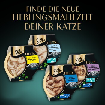 Vier Sheba Filets Katzenfutterbeutel mit deutscher Überschrift 'FINDE DIE NEUE LIEBLINGSMAHLZEIT DEINER KATZE' und Geschmacksangaben.
