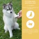 Eine Frau mit einer schwarzen Katze sitzt neben einem wolfähnlichen Hund in einem Garten mit lila Blumen. Text oben bewirbt Wolfsbacher Naturprodukte.