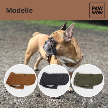 Ein Französischer Bulldogge in einem braunen Geschirr steht im Freien mit Hundemänteln in Braun, Schwarz und Oliv, beschriftet mit "BRAUN", "SCHWARZ" und "OLIVE."