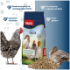 Ein großer Haufen kleiner, zylindrischer Haustierfutterpellets, die eine hellbraune Farbe mit einer strukturierten Oberfläche zeigen.