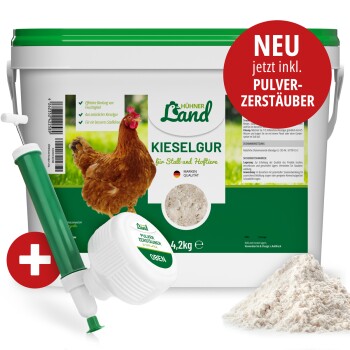 Natürliche Kieselgur 4,2kg