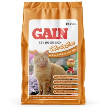 Nutro max kitten shop wet food