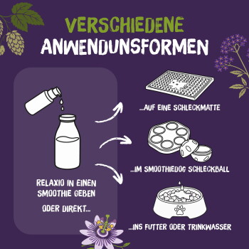 Lila Anzeige: Flasche, die in ein Glas gießt, mit Pfeilen zu Leckmatte, Leckerliball und Futternapf; Text 'Verschiedene Anwendungsformen'.