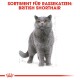 British Shorthair Adult 4 kg