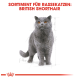 Illustration einer Britisch Kurzhaar Katze mit grauem Fell und orangefarbenen Augen, begleitet von dem Text "SORTIMENT FÜR RASSEKATZEN: BRITISH SHORTHAIR."