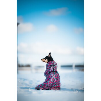 Ein schwarz-brauner Hund, der einen bunten, pink und lila gemusterten Wintermantel trägt, sitzt im Schnee und schaut zur Seite.
