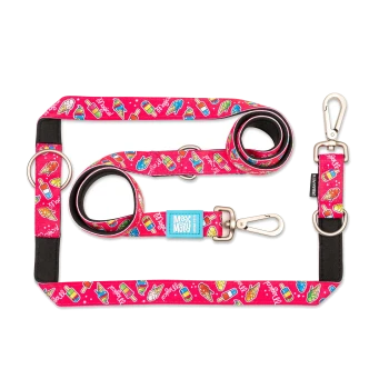 Pinkfarbene Hundeleine mit bunten Eis- und Popsicle-Mustern, Metallclips und „Max & Molly Urban Pets“-Etikett.