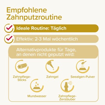 Empfohlene Zahnpflege-Routine für Haustiere: Ideales tägliches Zähneputzen, effektiv 2-3 Mal pro Woche, Alternativen sind Zahnsticks, Gel, Algenpulver, Mundspülung, Spray.