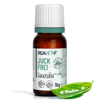Bernsteinfarbene Glasflasche mit weißem Verschluss, beschriftet "REAVET JUCK FREI KRATZEN 10g", und ein grünes Blatt, das weiße Pellets hält.