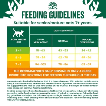 Feeding guidelines chart for senior cats, detailing daily serving sizes based on body weight and activity level, with hypoallergenic food notes.