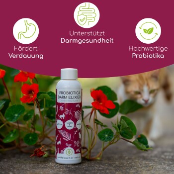 Flasche Probiotica Darm Elixier für Haustiere, mit deutschem Text zur Förderung der Verdauung und Darmgesundheit, mit einer Katze und Blumen.