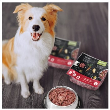Ein glücklicher Hund sitzt neben einer Schüssel mit rohem Hundefutter, im Hintergrund zwei Pakete Procani-Futter mit Zutaten und Nährwertinformationen.