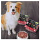 Ein glücklicher Hund sitzt neben einer Schüssel mit rohem Hundefutter, im Hintergrund zwei Pakete Procani-Futter mit Zutaten und Nährwertinformationen.