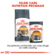 Royal Canin Feline Care Nutrition: "Haar & Huid" droogvoer en "Intense Beauty" natvoer, met een kattenafbeelding en tekst over resultaten in 21 dagen.