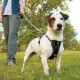 Tru-Fit Smart Hundegeschirr M
