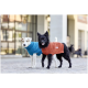 Zwei kleine Hunde in Strickpullovern: weißer Hund in Blau, schwarzer Hund in Orange mit kleinem Etikett