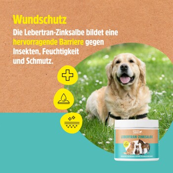 GreenHero Lebertran-Zinksalbe Verpackung für Haustiere, mit Anwendungshinweisen, Inhaltsstoffen und einem Volumen von 500ml.