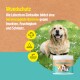 GreenHero Lebertran-Zinksalbe Verpackung für Haustiere, mit Anwendungshinweisen, Inhaltsstoffen und einem Volumen von 500ml.