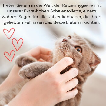 Hände streicheln eine braune Katze, drei rote Herzen links; deutscher Text wirbt für eine extra-hohe Katzentoilette für Katzenliebhaber.