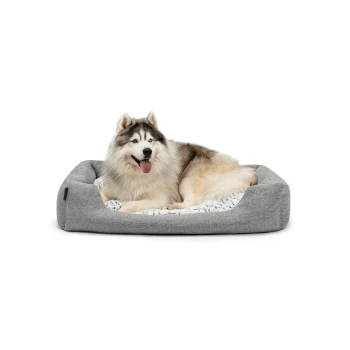 Ein flauschiger, glücklicher Siberian Husky liegt bequem auf einem grauen Haustierbett mit einem weichen, gemusterten Innenraum.