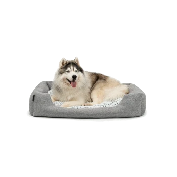Ein flauschiger, glücklicher Siberian Husky liegt bequem auf einem grauen Haustierbett mit einem weichen, gemusterten Innenraum.