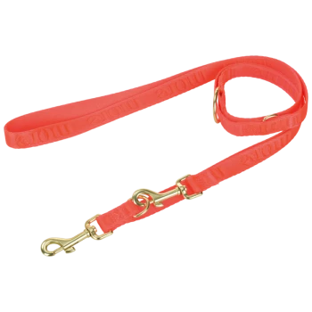 Laisse pour chien en nylon orange vif avec clips métalliques dorés et marquage en relief « Mou ».