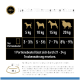 Tägliche Fütterungsempfehlungen für Hunde basierend auf dem Gewicht (5-20 kg), mit Portionsgrößen und Kalorieninformationen (83 kcal pro 100 g).