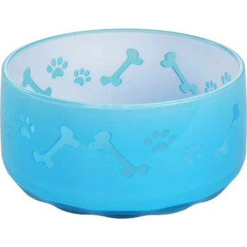 Un bol pour animaux de compagnie bleu clair avec un motif d'empreintes de pattes et d'os sur les surfaces intérieure et extérieure.