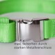 Grüner Haustierhalsband mit einer starken Metallschnalle, mit dem Text "max. Sicherheit durch starken Metallverschluss."