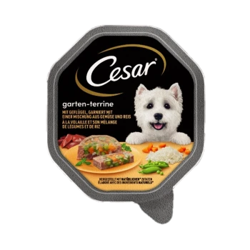 Cesar Garten-Terrine Hundefutterverpackung mit einer Mischung aus Huhn, Gemüse und Reis, mit lebhaften Lebensmittelbildern und Text in Deutsch.
