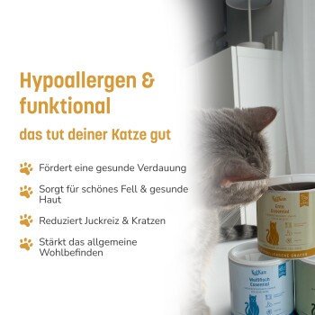 Katze schnuppert an gestapelten Futtersdosen; sichtbarer Text „Hypoallergen & funktional — das tut deiner Katze gut“ sowie deutsche Vorteilsangaben